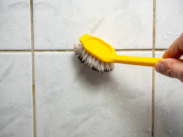 Best Attic Mold Removal  in Elwood, NY