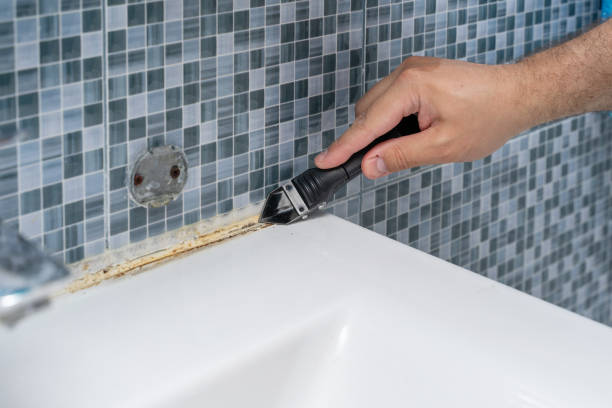 Best Mold Remediation  in Elwood, NY